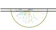 Cognitive Neuroscience Society web site