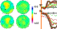 Animation of ERP/CSD Topographies (flash animation 9.5 MB)